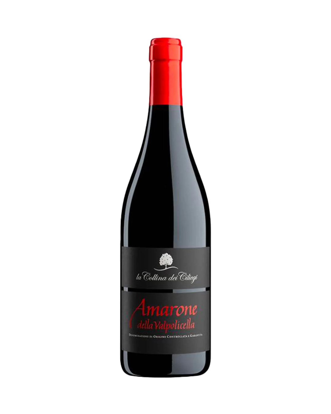 Amarone della Valpolicella, La Collina dei Ciliegi, Veneto, Italy